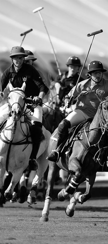 Chukker - Around Polo